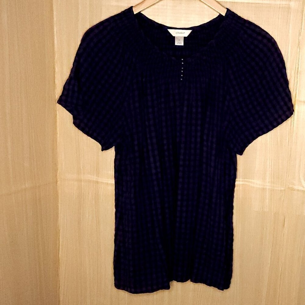 CJ Banks Blue 2 Tone Textured Check Short Sleeve Flowy Top 2X